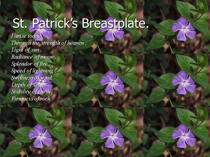 I arise today  Through the strength of heaven ,  Light of sun